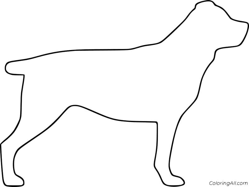 Rottweiler Dog Coloring Page