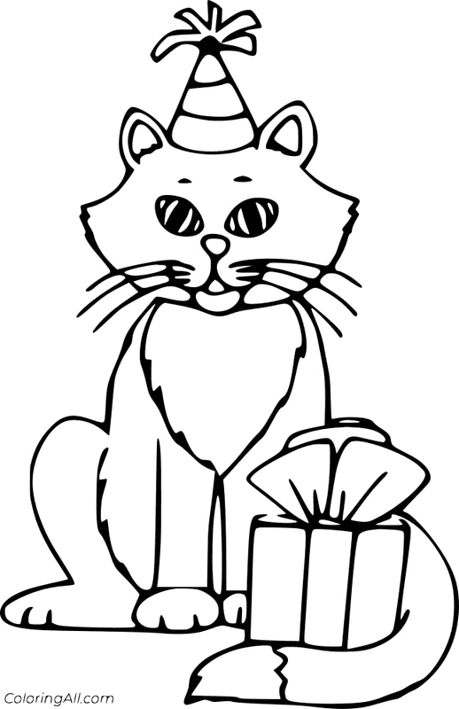 Big Cat Bring Birthday Gift