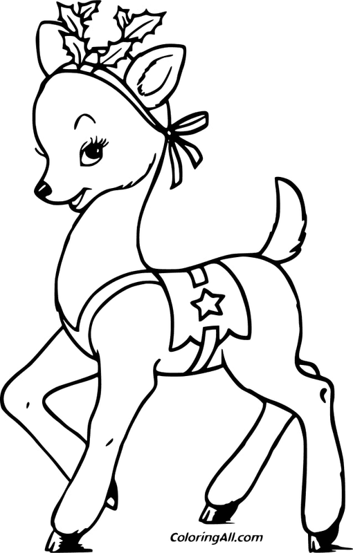 Reindeer