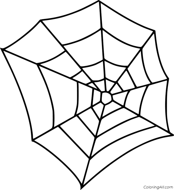 Spider Web
